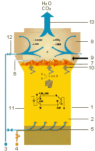 SEGHERS fluidized bed principle