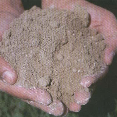 Organi Soil