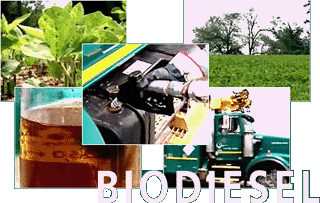 Biodiesel