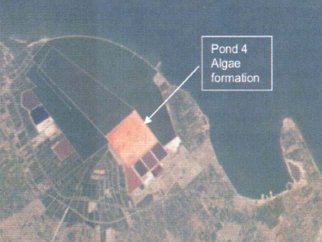 EMISAL site