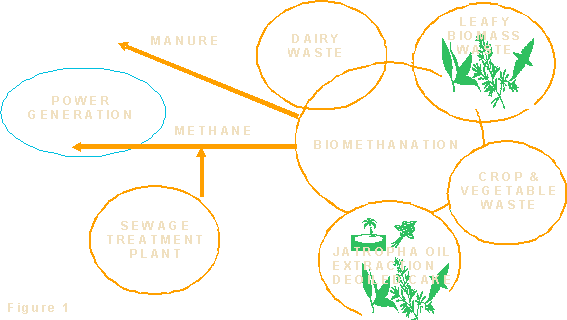 Biomethanation