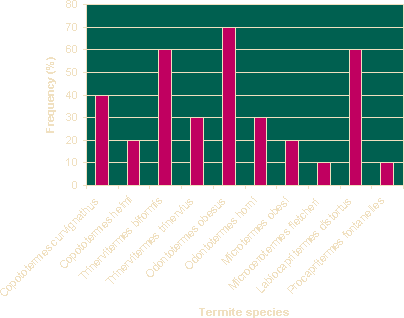 Annual Wind Rose
